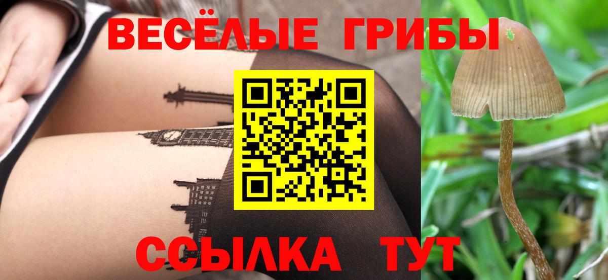 закладка  Вход с VPN  Псилоцибиновые грибы MAGIC MUSHROOMS  Вязьма  Псилоцибиновые грибы Cubensis 
